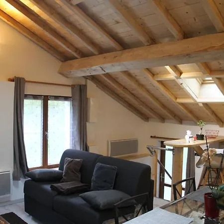 T2 Cosy * Le Bourg-dʼOisans